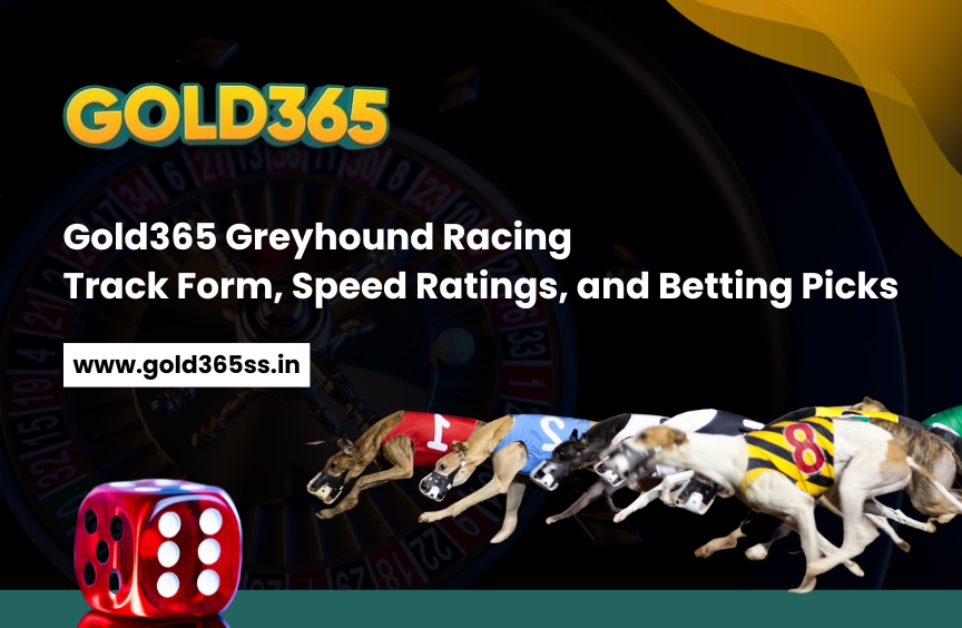 Gold365 Greyhound Racing Track Form, Speed Ratings, and Betting Picks